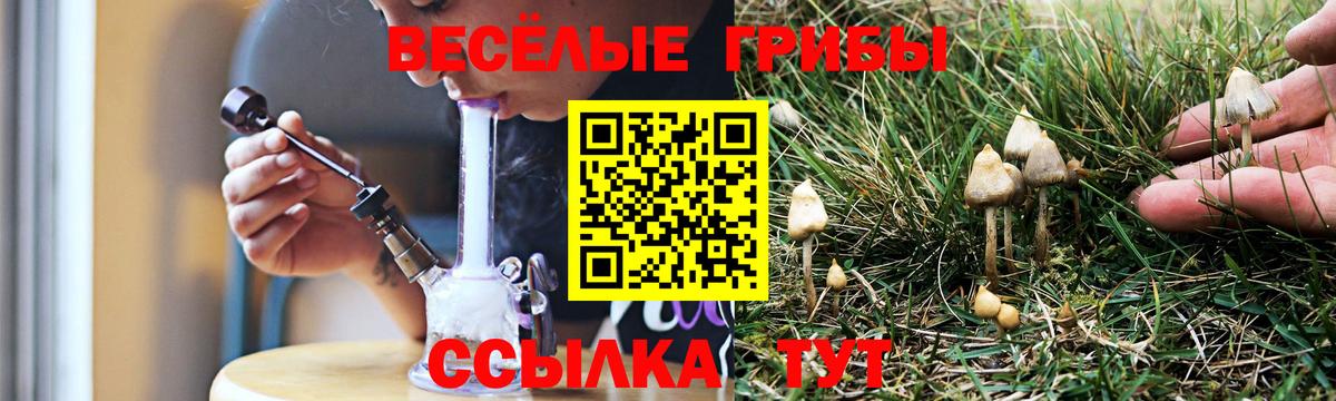 Псилоцибиновые грибы Cubensis Домодедово